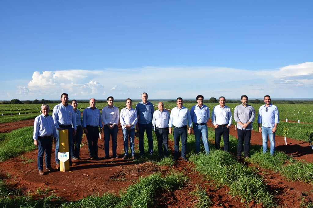 Vice-presidente da Fiems conhece plantio de laranja de gigante mundial da citricultura