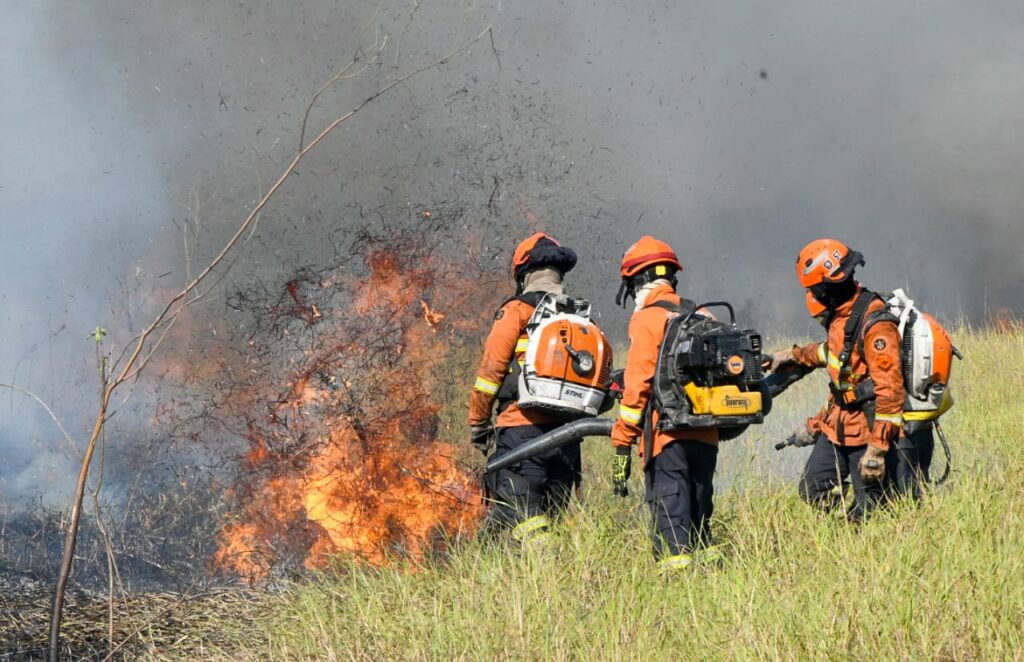 Planejamento e atuação eficiente garantem proteção do bioma Pantanal durante todo o ano