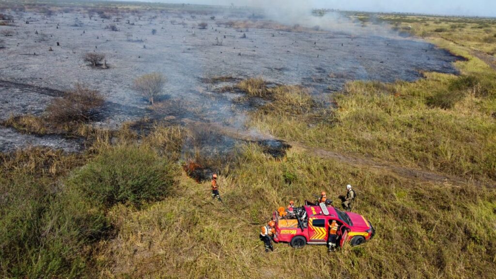 Planejamento e atuação eficiente garantem proteção do bioma Pantanal durante todo o ano