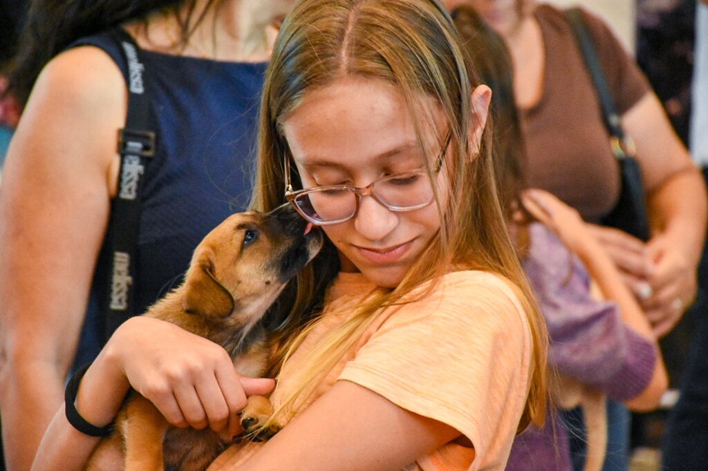 Dezembro Verde: ação incentiva a adoção responsável e o combate ao abandono de animais