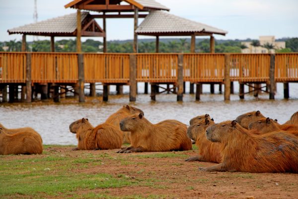 Guerreiro entrega Deck da Lagoa Maior, dois CRAS e anuncia mais 13 obras para Três Lagoas