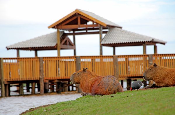 Guerreiro entrega Deck da Lagoa Maior, dois CRAS e anuncia mais 13 obras para Três Lagoas