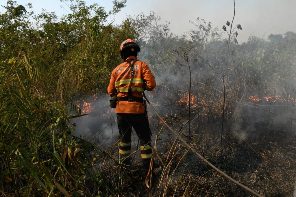 Planejamento e atuação eficiente garantem proteção do bioma Pantanal durante todo o ano