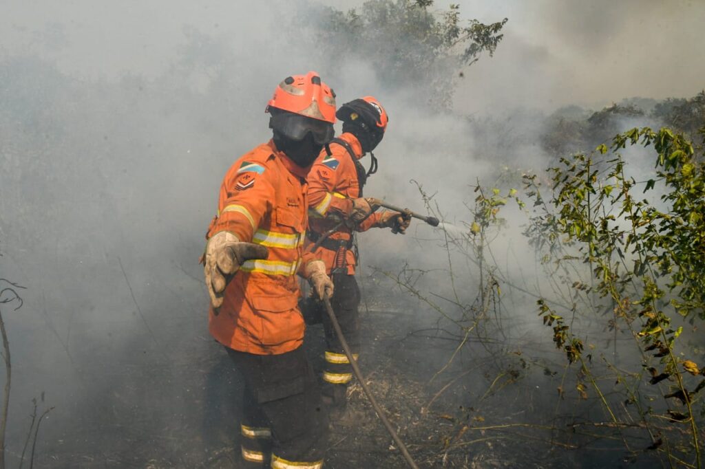 Planejamento e atuação eficiente garantem proteção do bioma Pantanal durante todo o ano