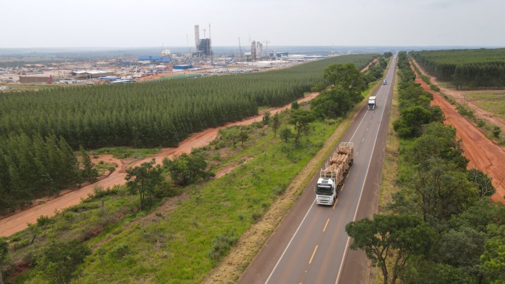 FLAGRANTE: BR-262, a 'Rodovia da Morte' continua sendo problema crônico do Vale da Celulose