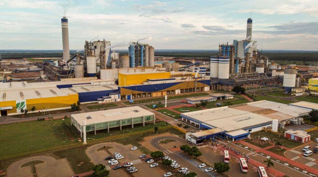 Saiba quem são os donos das maiores produtoras de papel do Brasil com investimentos bilionários