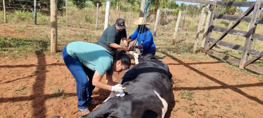 Certificação da ONU, novas praças, suporte à pesquisa e ao homem do campo marcaram a gestão no Meio Ambiente