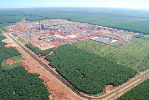 Área plantada de florestas em MS é a que mais cresce no país e chega a 1,5 milhão de hectares