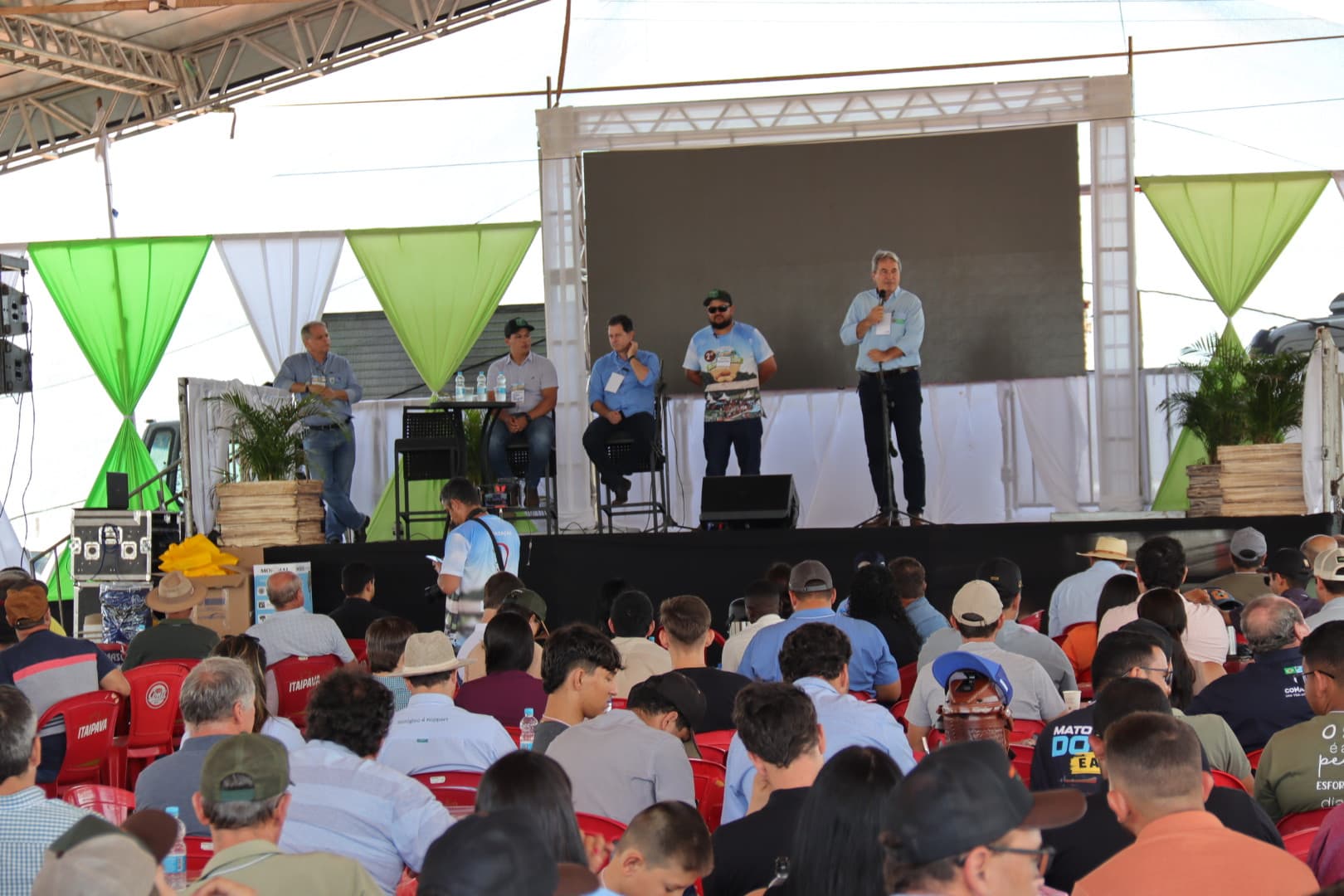 Política de diversificação agrícola faz o cultivo do amendoim crescer e consolida MS como segundo maior produtor no país