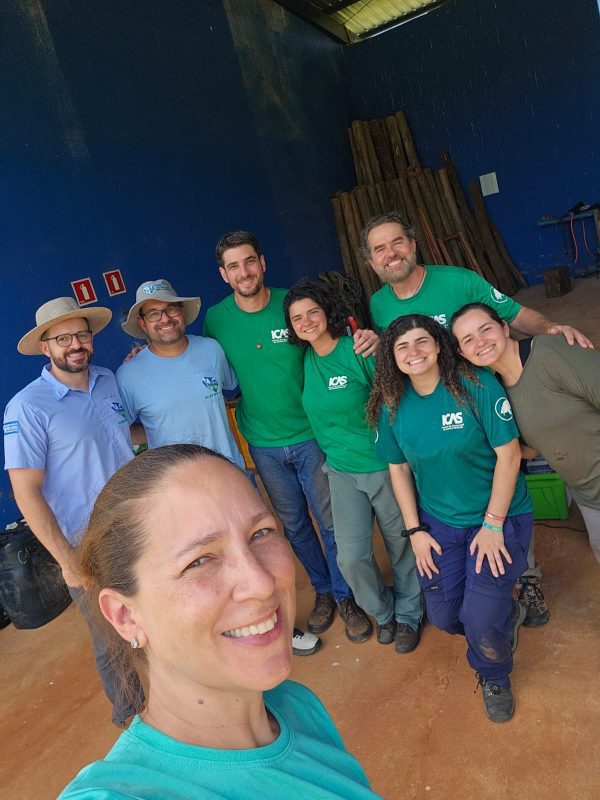 Tatus-canastra do Parque do Pombo passam a ser monitorados por GPS; Entenda