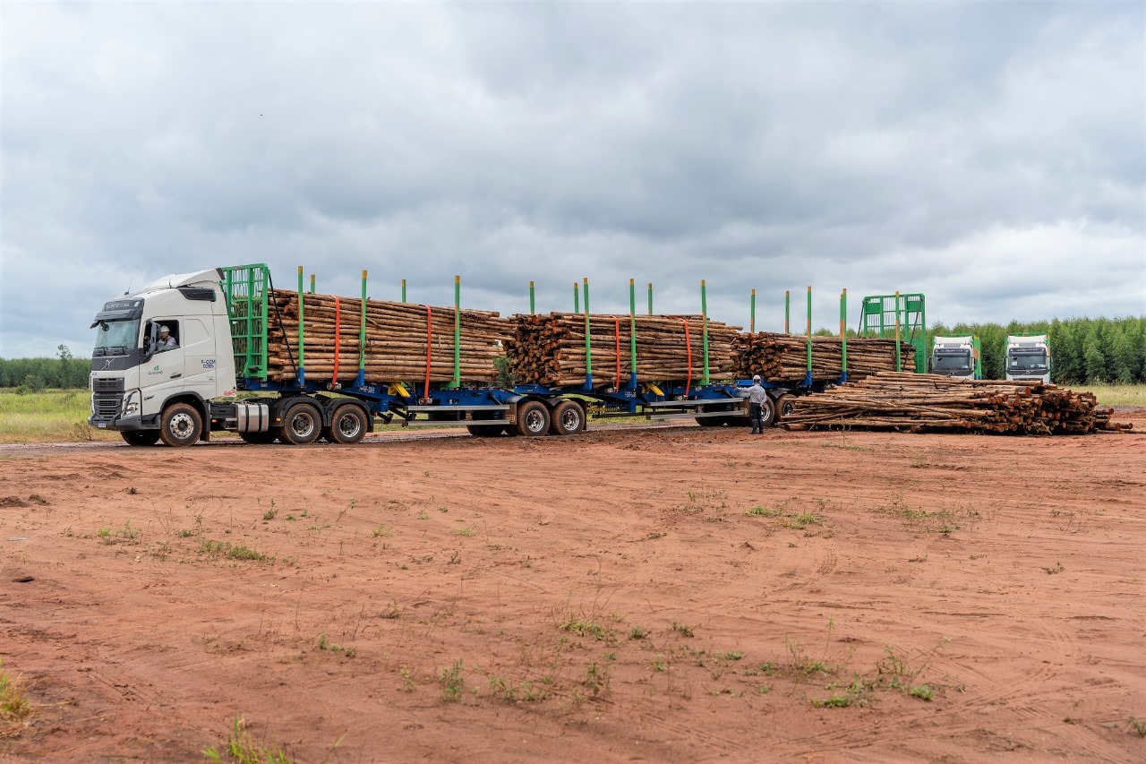 Suzano inova no setor de logística florestal com primeiro módulo próprio de operação de tritrens em Três Lagoas