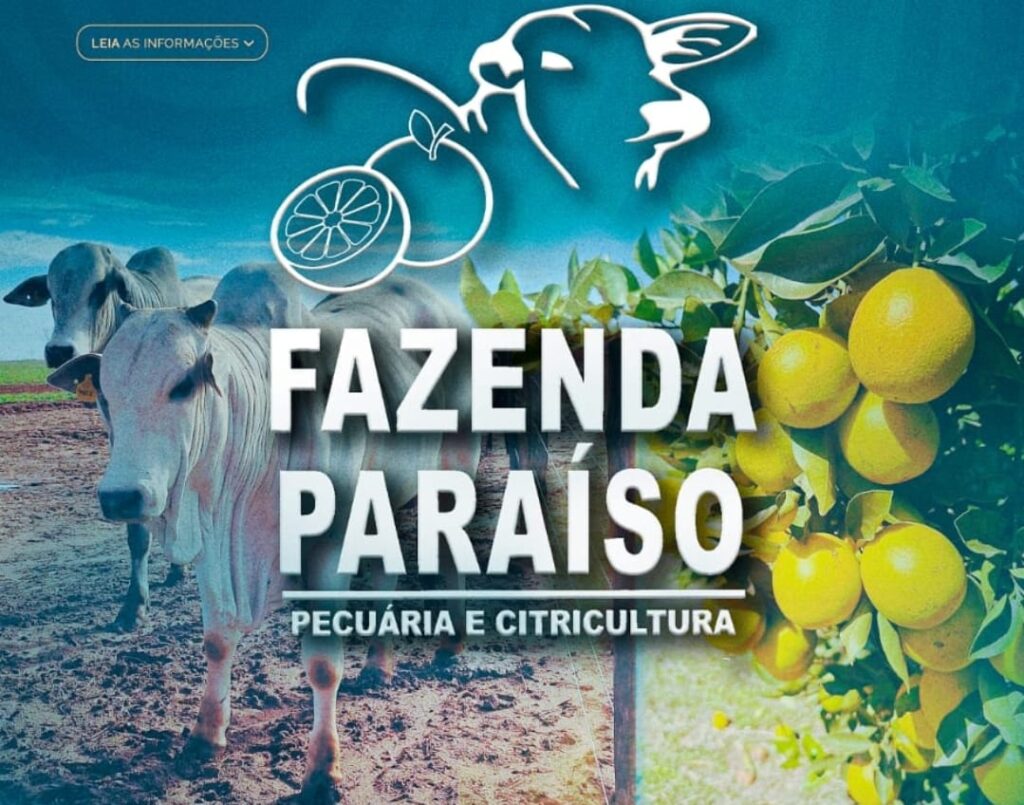 DA CELULOSE À FRUTA: citricultura avança em Três Lagoas e vai movimentar a economia da região