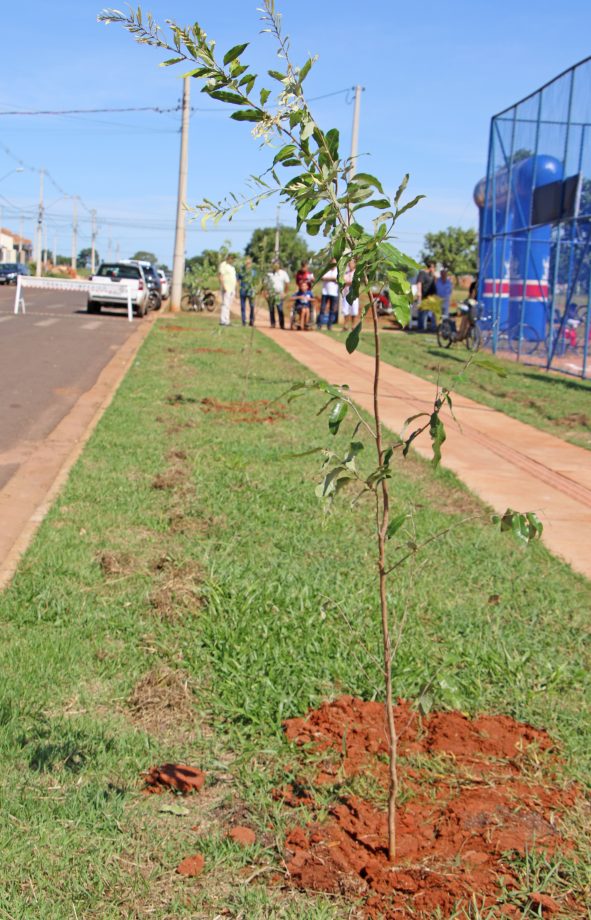 Prefeito inaugura campo de futebol no bairro Bela Vista da Lagoa