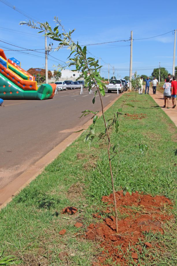 Prefeito inaugura campo de futebol no bairro Bela Vista da Lagoa