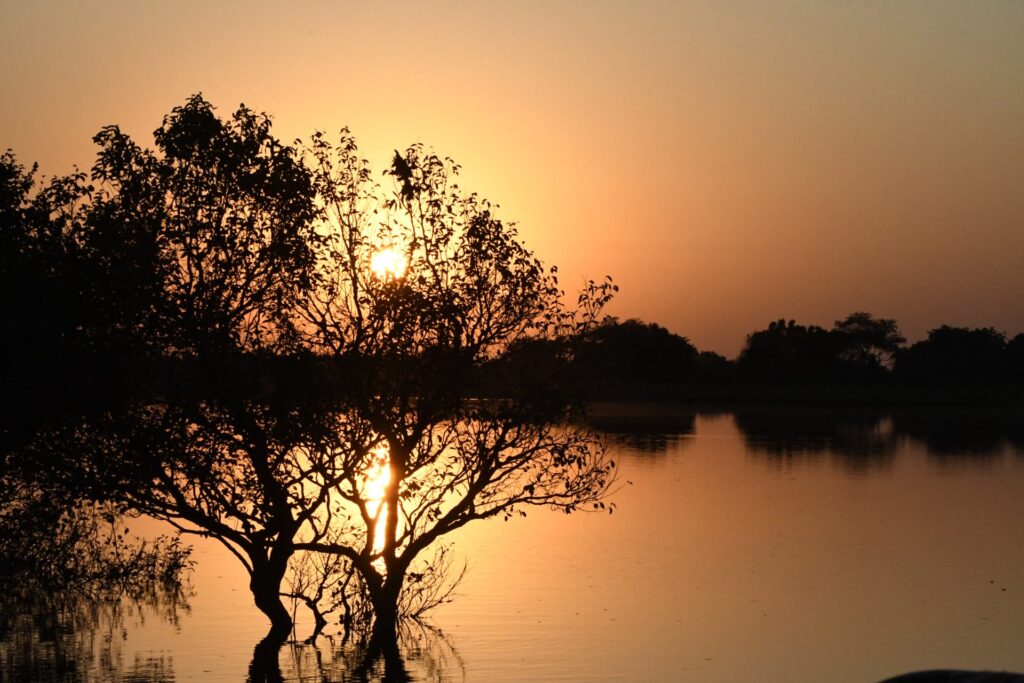 Fundo Clima Pantanal é regulamentado com R$ 40 milhões para preservar o bioma em MS