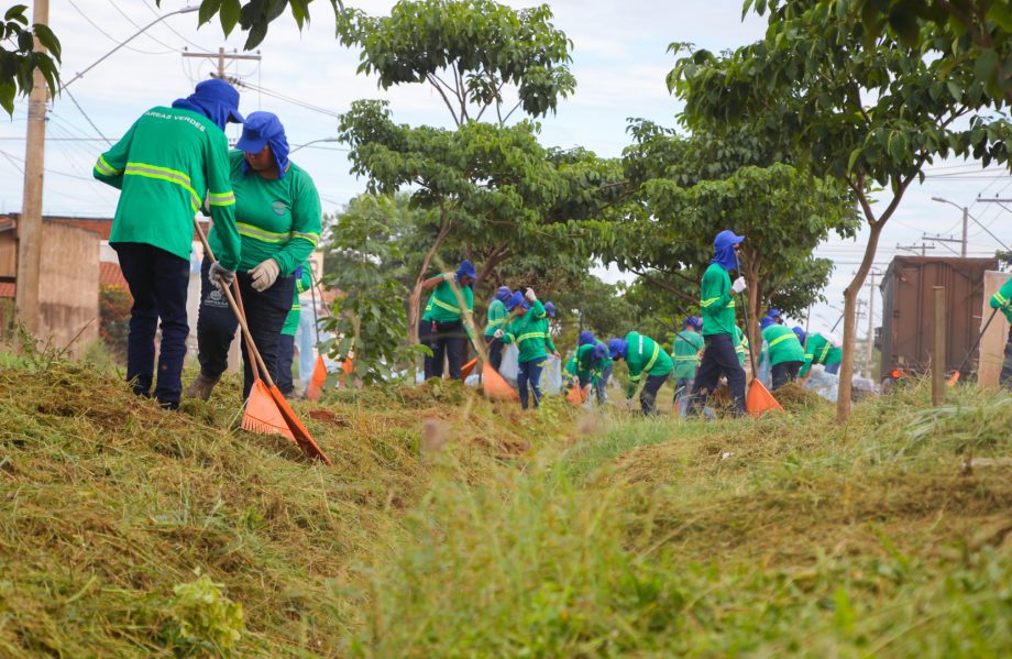 Prefeitura de Três Lagoas realiza roçada de áreas verdes no município