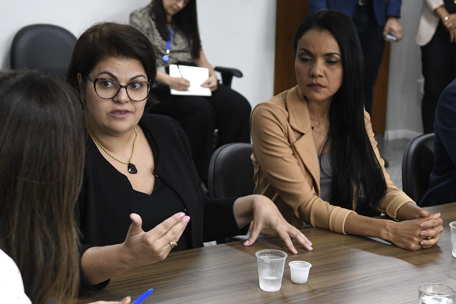 Novos projetos de assistência às mulheres de MS são apresentados em comissão da Assembleia Legislativa