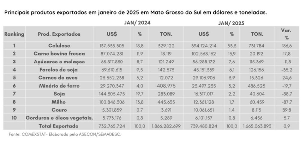 Exportações de celulose disparam e Três Lagoas lidera ranking de municípios mais vendas de MS