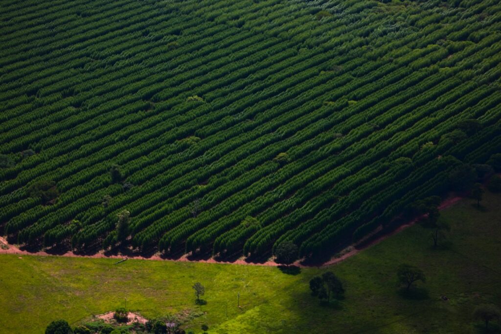 No Roda Viva, governador de MS afirma que Estado vai atingir meta de carbono neutro até 2030