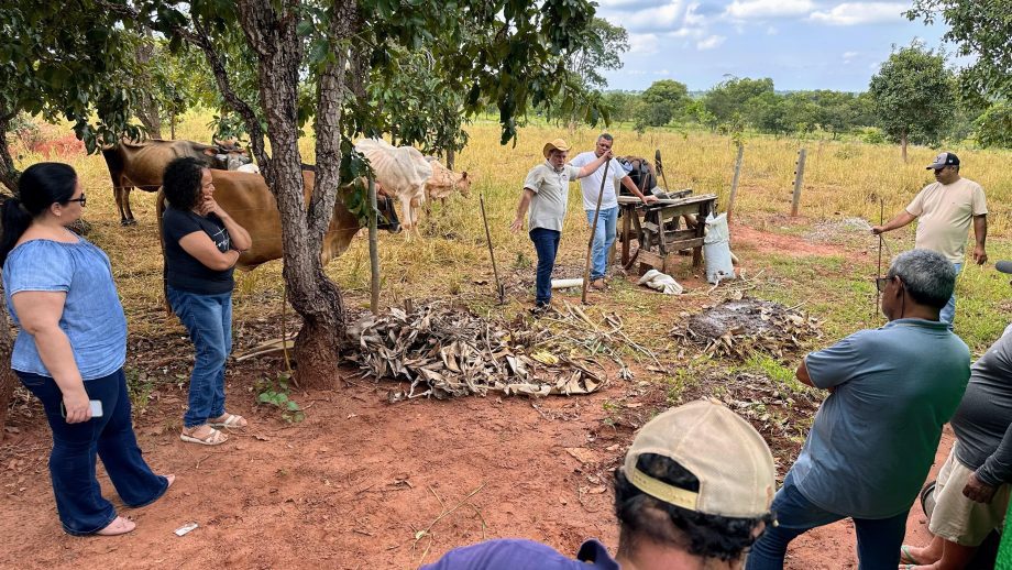 Curso sobre compostagem capacita agricultores do Assentamento Palmeira