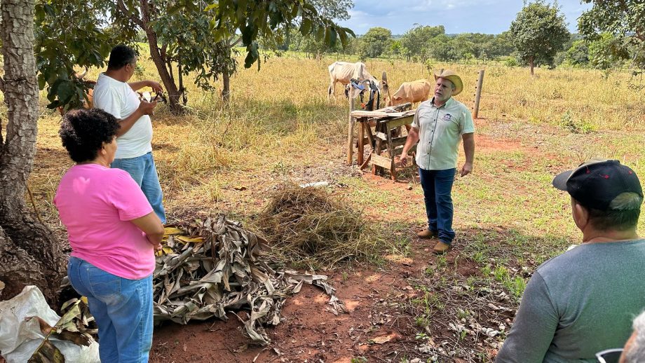 Curso sobre compostagem capacita agricultores do Assentamento Palmeira