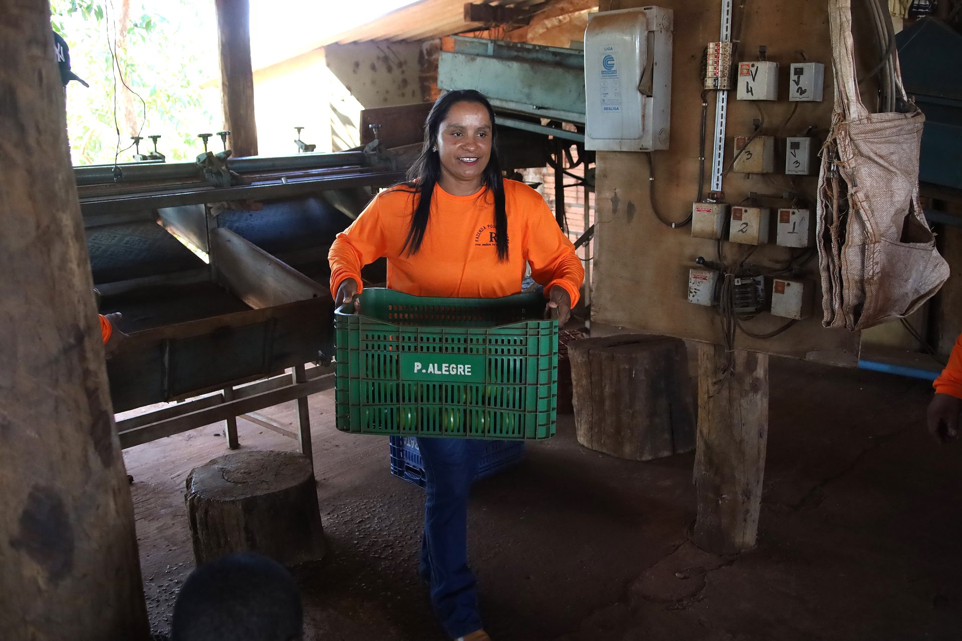 Nova fronteira: citricultura abre oportunidades e muda a vida de trabalhadores em Mato Grosso do Sul