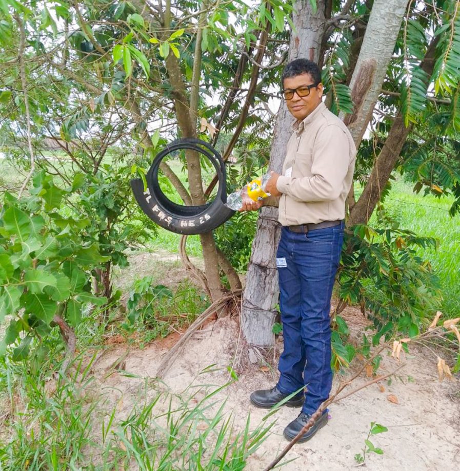 Armadilhas para o Aedes aegypti são usadas como lixeiras prejudicando controle e estudo de doenças