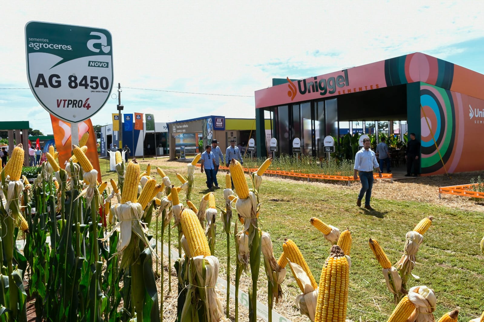 Com apoio do Governo do Estado, TecnoAgro 2025 reúne novidades do setor e conhecimento