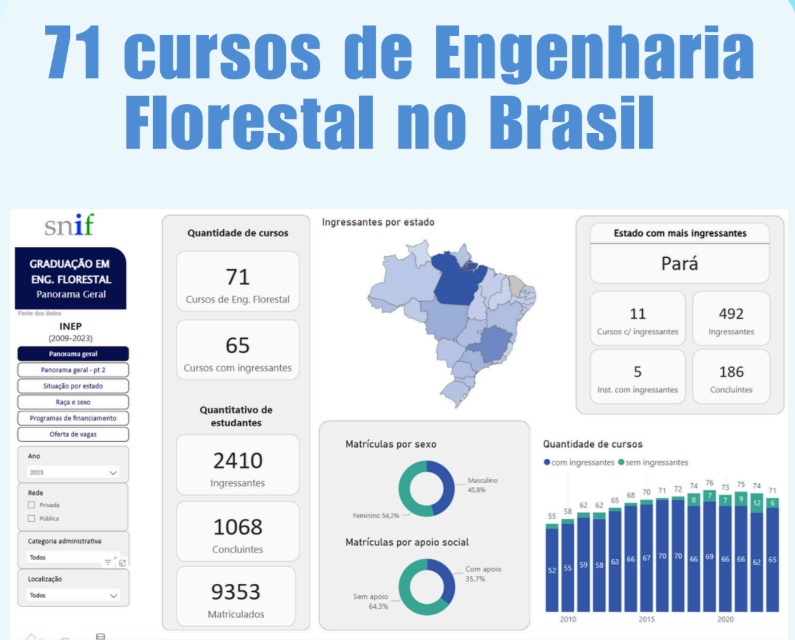 Indústrias de celulose aumentam demanda por engenheiros florestais e UFMS abre 35 vagas para o curso