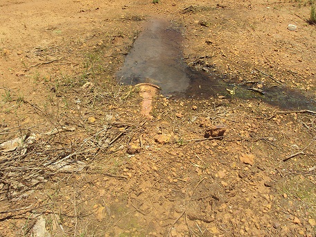 PMA autua fazendeiro por lava-jato ilegal causando poluição