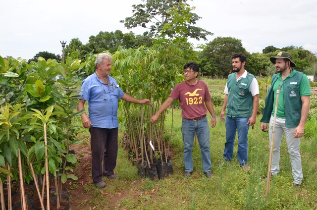 Áreas Verdes de Três Lagoas ganharão novas espécies de árvores Além do recebimento dessas novas mudas e do plantio de outras diversas espécies do Cerrado (Foto/Assessoria)