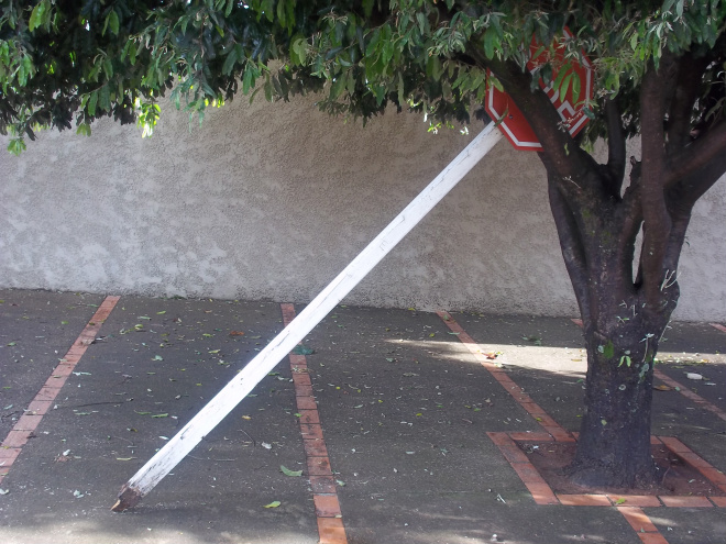 A placa está pendurada em uma árvore na rua Manoel Mendes, no bairro Colinos
Foto: Adriano Vialle