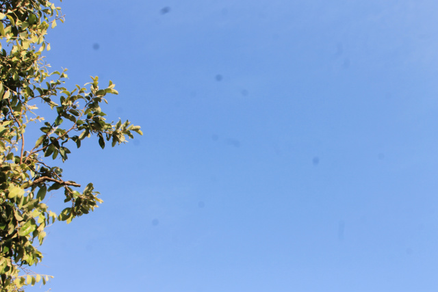 Sem nuvens, de acordo com o site Climatempo, há previsão de chuva para hoje em Três Lagoas. (Foto: Patrícia Miranda)